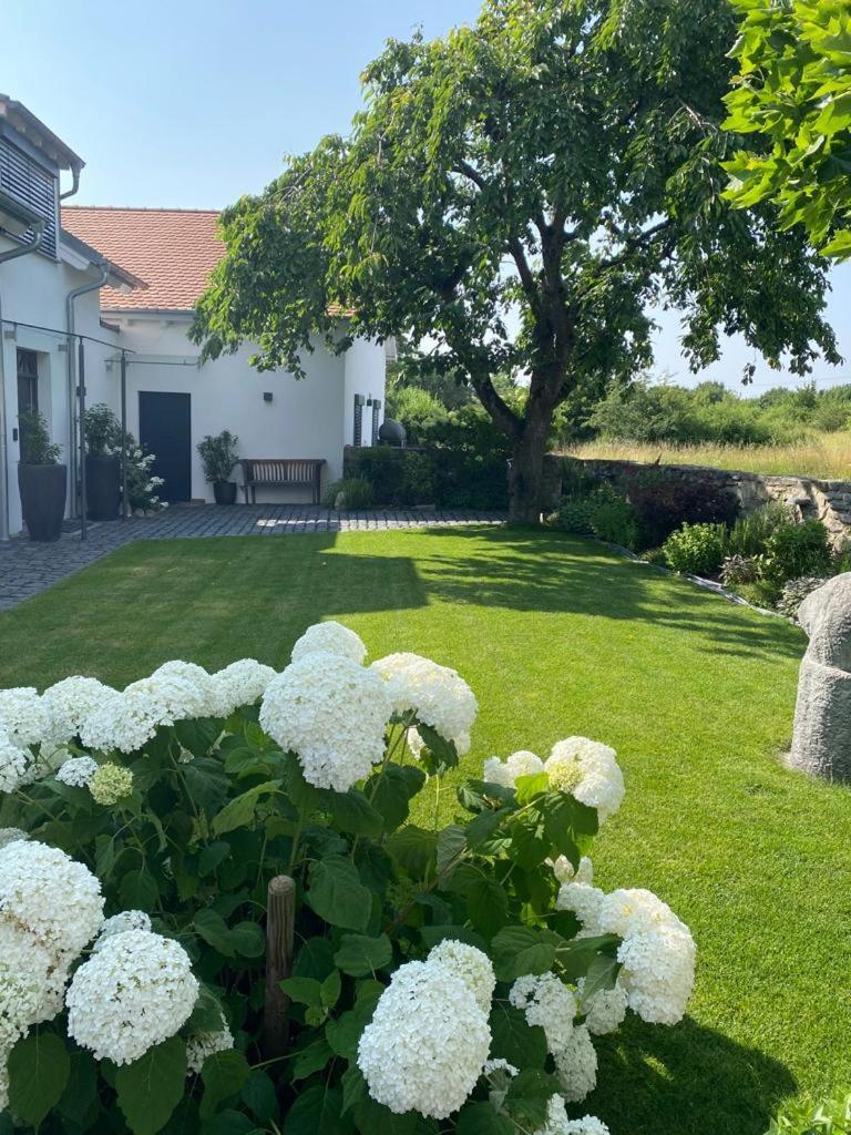 Colle Divino Apartment Wurzburg Luaran gambar